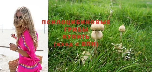 герыч Зерноград