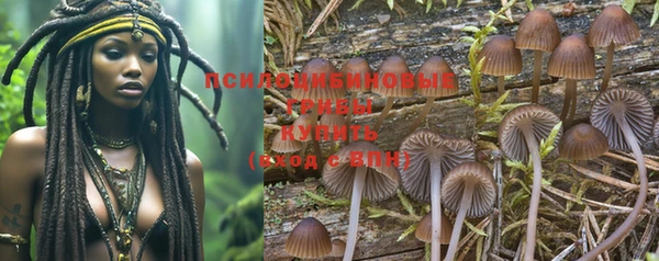 герыч Зерноград