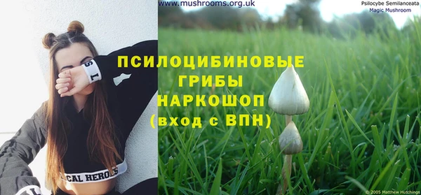 меф Зеленодольск