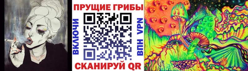 Купить  Новое Девяткино  Галлюциногенные грибы MAGIC MUSHROOMS 